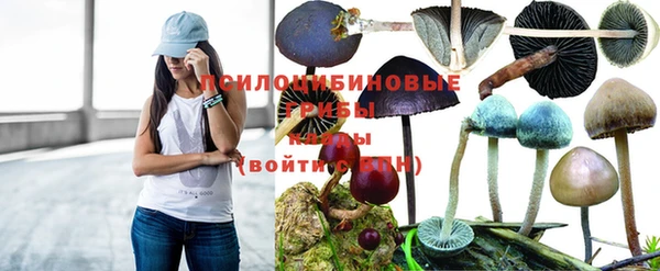 герыч Горно-Алтайск
